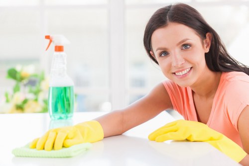 Professional upholstery cleaning for a fresh sofa in a living room