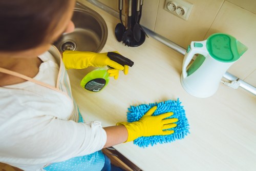 Domestic cleaning in a bright and tidy living room