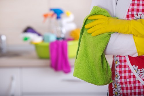 Eco-friendly domestic cleaning supplies in a home setting