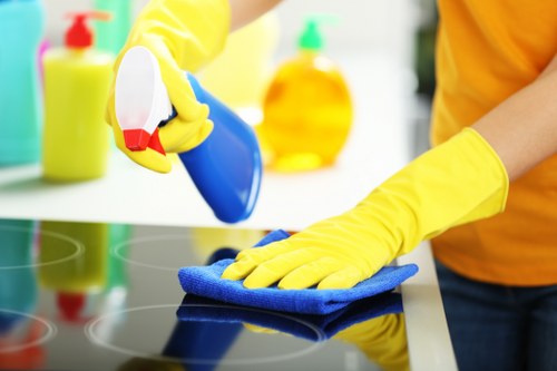 Bathroom domestic cleaning for a hygienic home