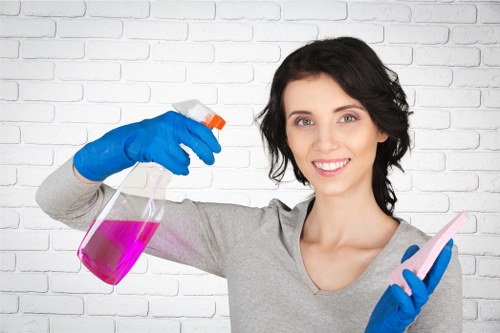 Deep carpet cleaning equipment removing dirt from fibers
