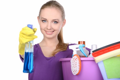 Domestic cleaning tools arranged for home maintenance