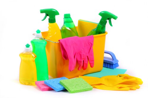 Professional domestic cleaning in a modern kitchen